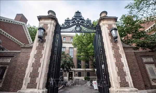 Bị cắt tài trợ, Đại học Harvard kiện chính quyền Tổng thống Trump