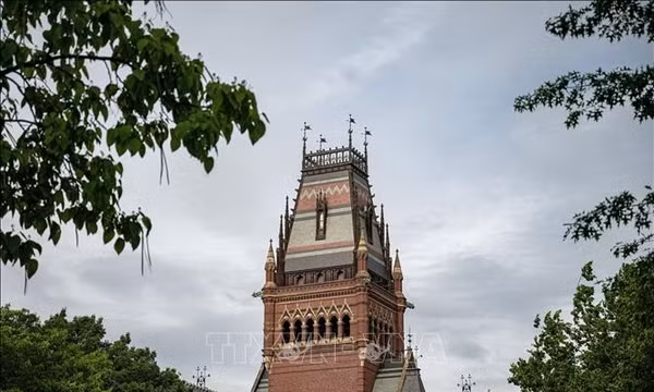 Đại học Harvard có nguy cơ bị chính quyền Tổng thống Trump cắt tài trợ thêm 1 tỷ USD