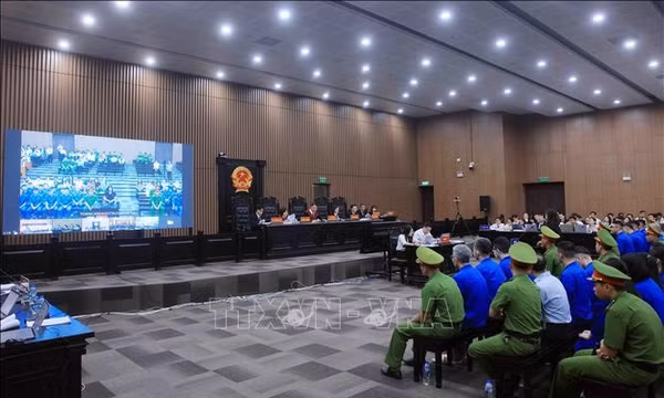 Nhóm chat 'bí mật' trợ giúp Mr Pips lừa đảo gần 1.560 tỷ đồng