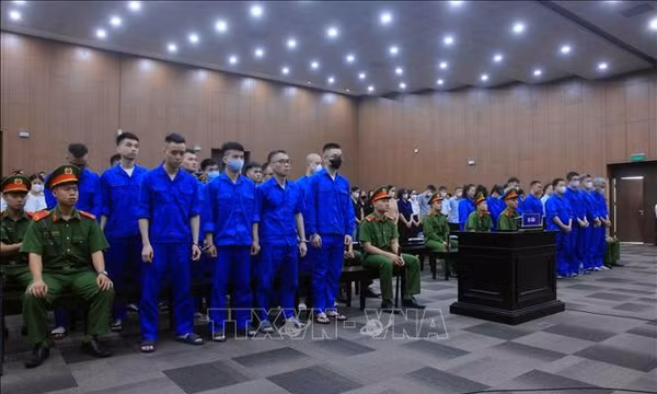 Vụ án Mr Pips: Hệ thống hoàn hảo chiếm đoạt tiền của khách hàng