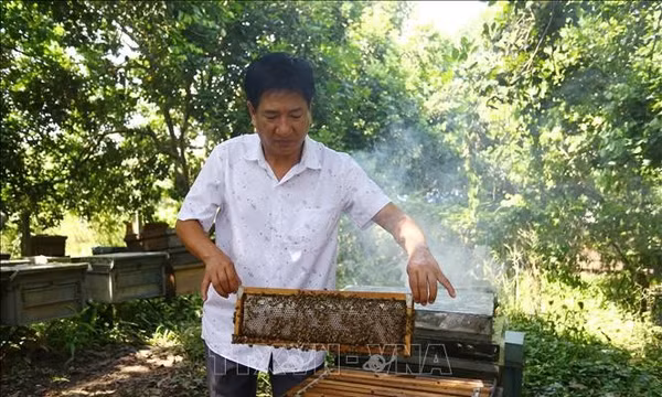 Những sáng kiến khoa học nâng tầm nông sản Việt