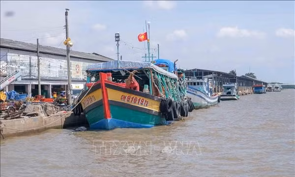 Hỗ trợ giải bản tàu cá, tạo sinh kế bền vững cho ngư dân