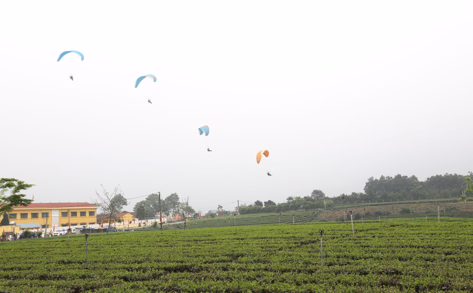 potal-thai-nguyen-khai-mac-chuong-trinh-du-lich-dai-tu-huong-che-lan-toa-7982155.jpg