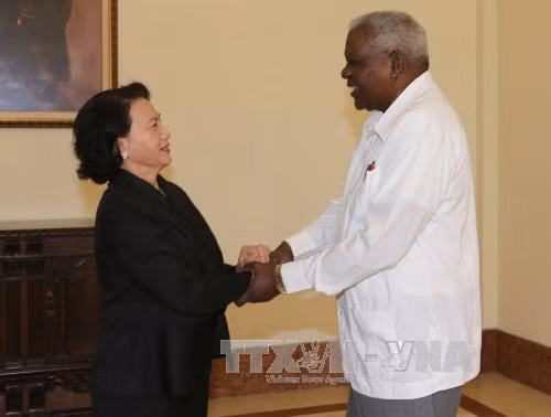 Đồng chí Nguyễn Thị Kim Ngân: Cuba sẽ thực hiện thắng lợi di huấn của lãnh tụ Fidel Castro ảnh 1