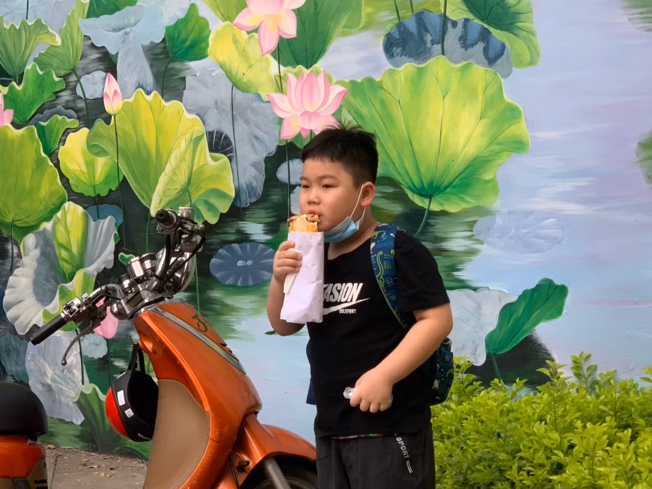 Chú thích ảnh