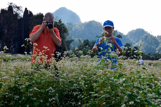 Lễ hội hoa Tam giác mạch 2015 ảnh 4