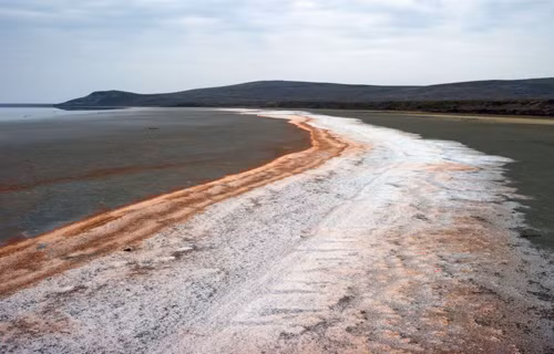 Hồ Koyashskoe nước hồng ở Crimea ảnh 7