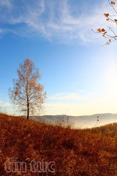 Mùa thu trong trẻo ở "xứ tuyết" Siberia ảnh 8