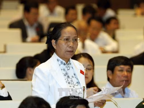 Quốc hội thông qua dự toán ngân sách Nhà nước 2016 ảnh 2