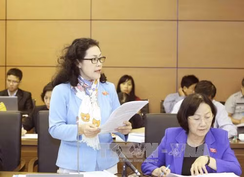 Quốc hội thảo luận tổ hai dự án Luật ảnh 1