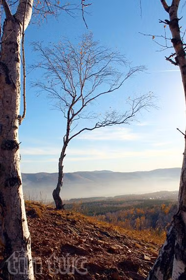 Mùa thu trong trẻo ở "xứ tuyết" Siberia ảnh 5