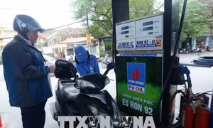 Tiếp tục giữ ổn định giá xăng dầu