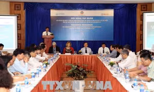 Nâng cao năng lực xét xử tội phạm liên quan đến động vật hoang dã