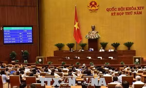 Luật An ninh mạng góp phần tạo môi trường kinh doanh lành mạnh, bình đẳng 