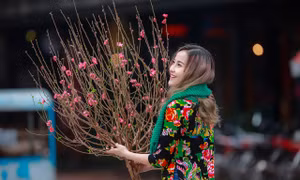 “Hoa hậu The face” Khánh Ngân xinh đẹp đến ngẩn ngơ trong tiết Xuân Hà Nội