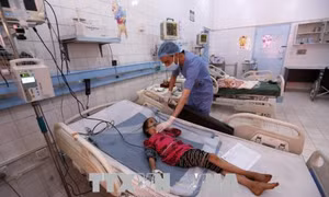 WHO kêu gọi thúc đẩy chương trình Bao phủ chăm sóc sức khỏe toàn dân 