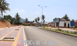 Phản hồi về 'nghi vấn' liên quan Dự án Nâng cấp tuyến đường ĐT630 ở Hoài Ân, Bình Định