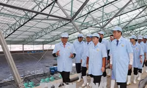 Chủ tịch Quốc hội Nguyễn Thị Kim Ngân thăm và làm việc tại tỉnh Bạc Liêu 