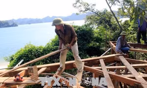 Quảng Ninh phản hồi thông tin xẻ núi trên đảo Soi Sim trên vịnh Hạ Long 