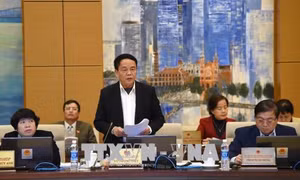 UBTV Quốc hội cho ý kiến về dự án Luật An ninh mạng và Luật Quốc phòng