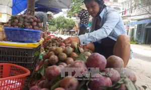 Nhiều hoạt động đặc sắc trong Tuần Văn hóa du lịch Bắc Hà