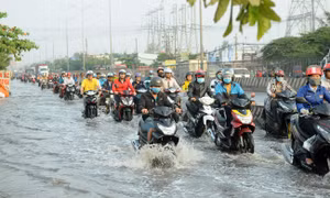 TP Hồ Chí Minh