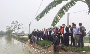 Phát huy giá trị lịch sử văn hóa gắn với xây dựng nông thôn mới