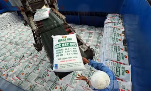 Đạm Cà Mau cán mốc 5 triệu tấn urê 