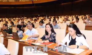  Quan điểm khác nhau về bổ sung hình thức tố cáo qua điện thoại, thư điện tử 
