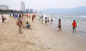 Quy hoạch đất đai ven biển: Bài học từ Đà Nẵng 