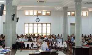 Xét xử chủ trang mạng 'hoclamgiau.vn' lừa đảo gần 480 tỷ đồng 