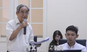 Đề xuất nhiều biện pháp giải quyết ngập nước ở TP Hồ Chí Minh 