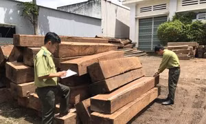 Khai gian số lượng hàng hóa để giảm thuế