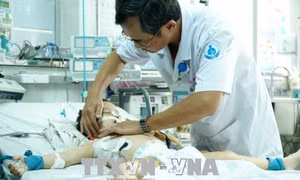 TP Hồ Chí Minh
