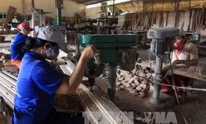 Quy định tạm ngừng kinh doanh tạm nhập, tái xuất gỗ tròn, gỗ xẻ