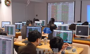 Chứng khoán ngày 28/5: Hàng loạt cổ phiếu giảm sàn, VN - Index 'rơi' hơn 30 điểm