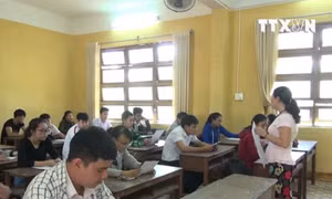 Quảng Nam thiếu 1.240 giáo viên trong năm học 2018 - 2019 