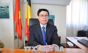 Đại sứ Vũ Anh Quang: Quan hệ thương mại Việt Nam-EU đạt dấu mốc quan trọng 
