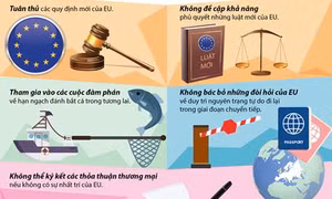 Kế hoạch chuyển tiếp sau Brexit của Anh