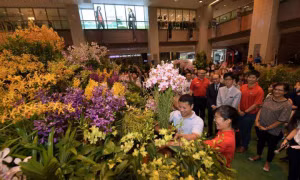 Bồn hoa lớn nhất thế giới tại Singapore