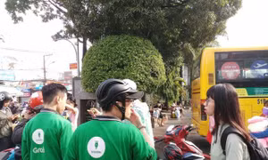 TP Hồ Chí Minh