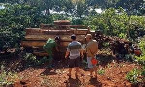 Lật xe công nông chở gỗ, 1 người chết, 2 người bị thương