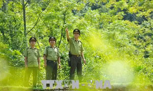 Kiểm lâm bám địa bàn giữ màu xanh cho rừng
