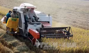 Xây dựng lộ trình giảm phát thải khí nhà kính 