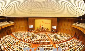 Sáng nay 13/11, Quốc hội thảo luận về phòng ngừa tội phạm, phòng chống tham nhũng
