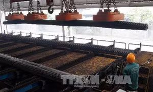 EC điều tra biện pháp tự vệ toàn cầu đối với thép nhập khẩu 