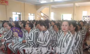 Hỗ trợ người chấp hành xong án phạt tù tái hòa nhập cộng đồng 