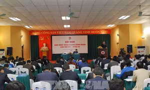 Đưa Nghị quyết Đại hội Đoàn toàn quốc lần thứ XI vào cuộc sống 