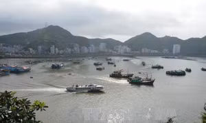 Xe chở bê tông đâm hỏng trạm biến áp, hai ngày sau điện mới khôi phục trên toàn huyện Cát Hải