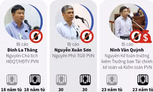 Vụ án PVN góp vốn 800 tỷ đồng vào OceanBank: Y án 18 năm tù đối với Đinh La Thăng